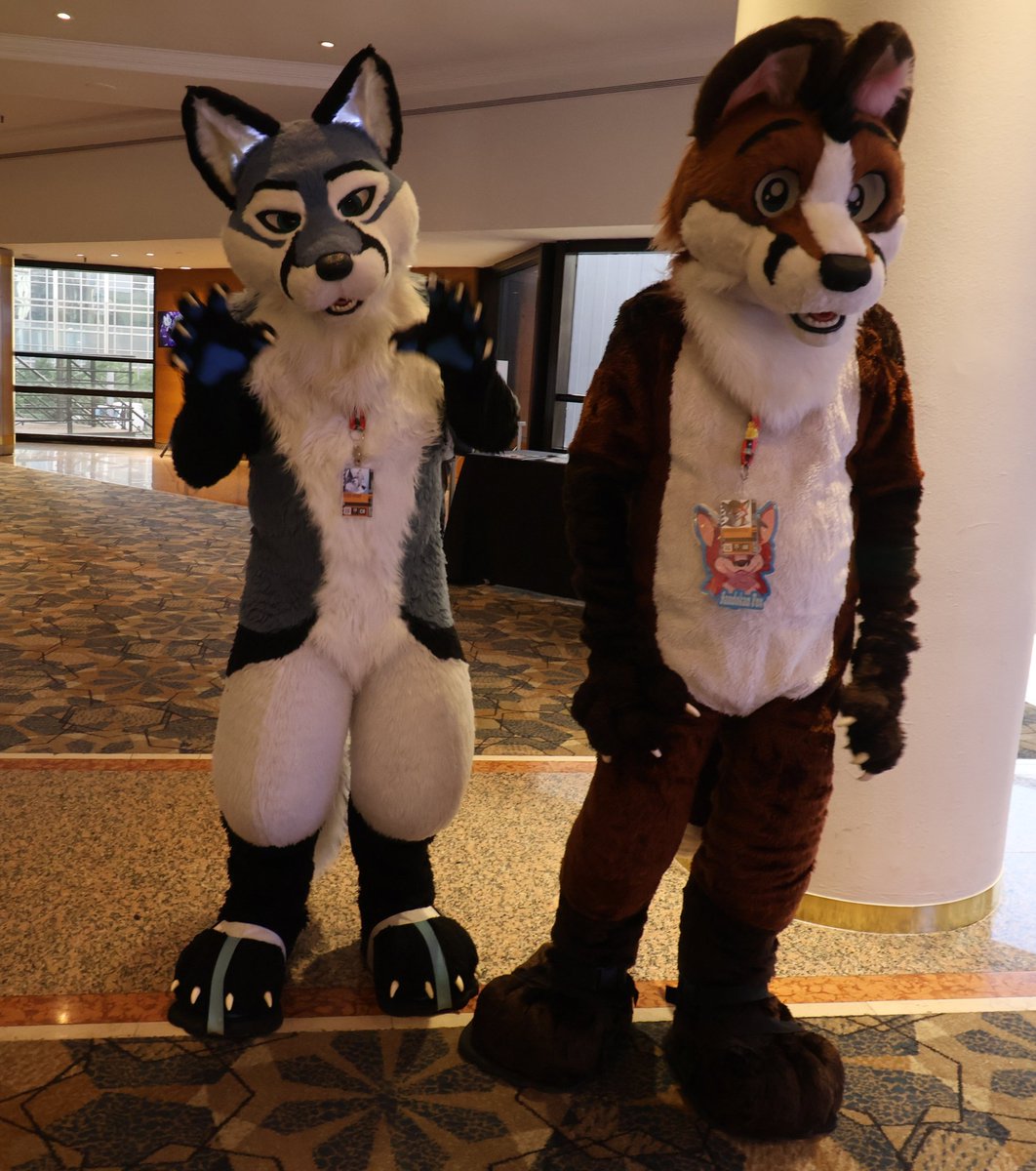 AcidForgeGaming's tweet photo. Photos from Argentina FurFiesta  #AARFcon #argentinafurfiesta https://t.co/piWbsPnnQF