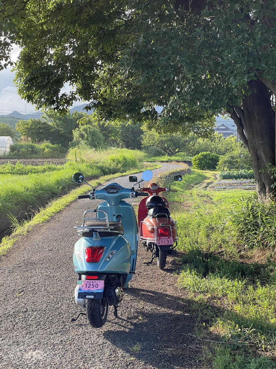 satosh100's tweet photo. おはようございます⛅️気温24℃
きっちり雨上がって晴れてきた👍
往復で7ゾロ目になりそう🎰😏
いってらっしゃい、いってきます
本日も一日ご安全に💫
幸せに過ごしましょう🍀
#AF53 #ジョルカブ https://t.co/P8YKXUyplg