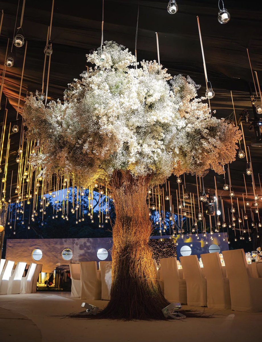 Elilylux's tweet photo. [#Sᴛᴀʀʀʏ𝓝𝓲𝓰𝓱𝓽]

El jardín romántico les invitara a compartir, cenar y crear recuerdos en una noche íntima y memorable junto a los novios.

Cautivados por el ambiente serán reflejados la emoción, la magia, la intimidad y el amor serán convertirán en una historia inolvidable https://t.co/F3q0S1UiSh