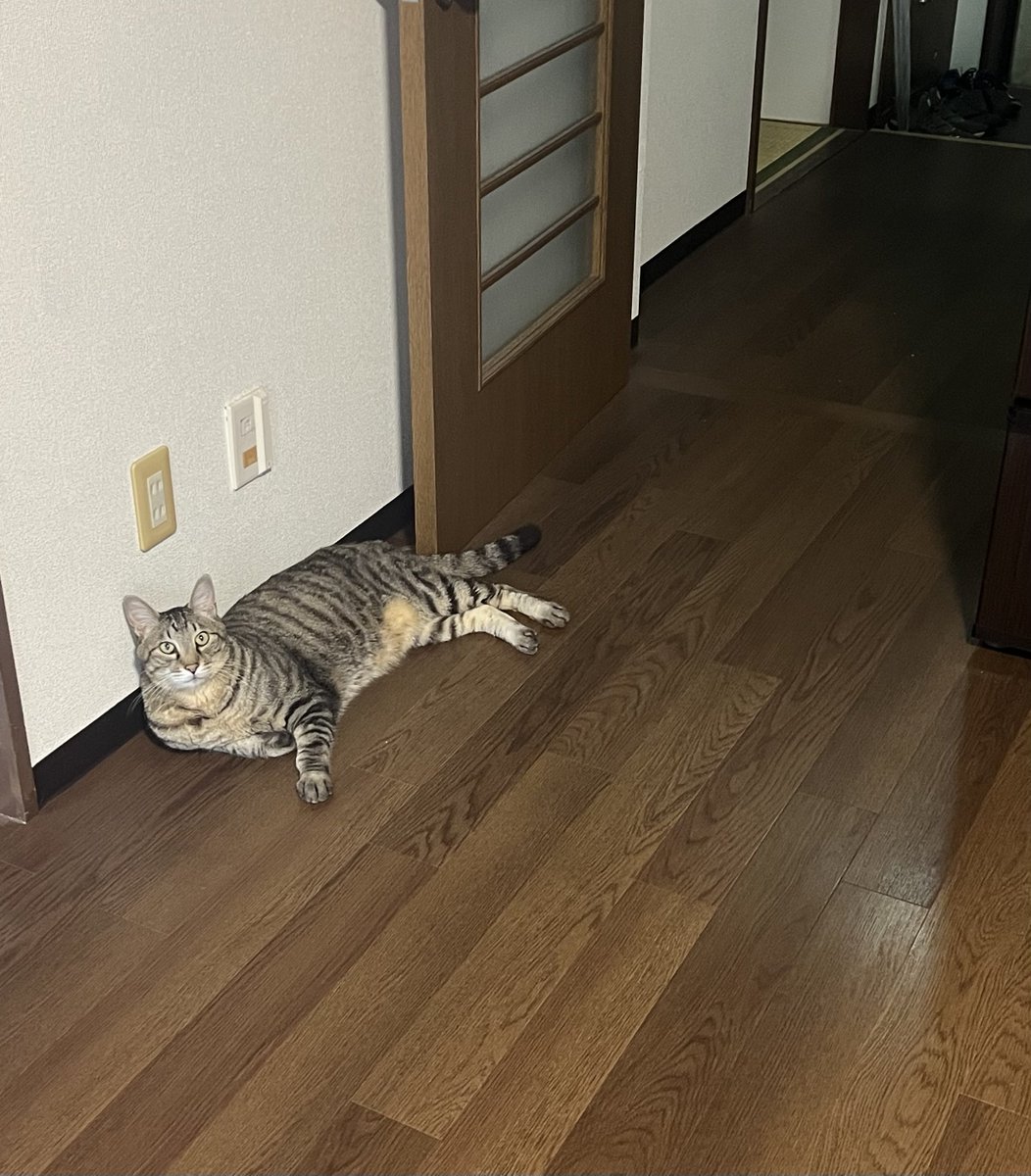 さっちゃ〜〜〜ん tweet media