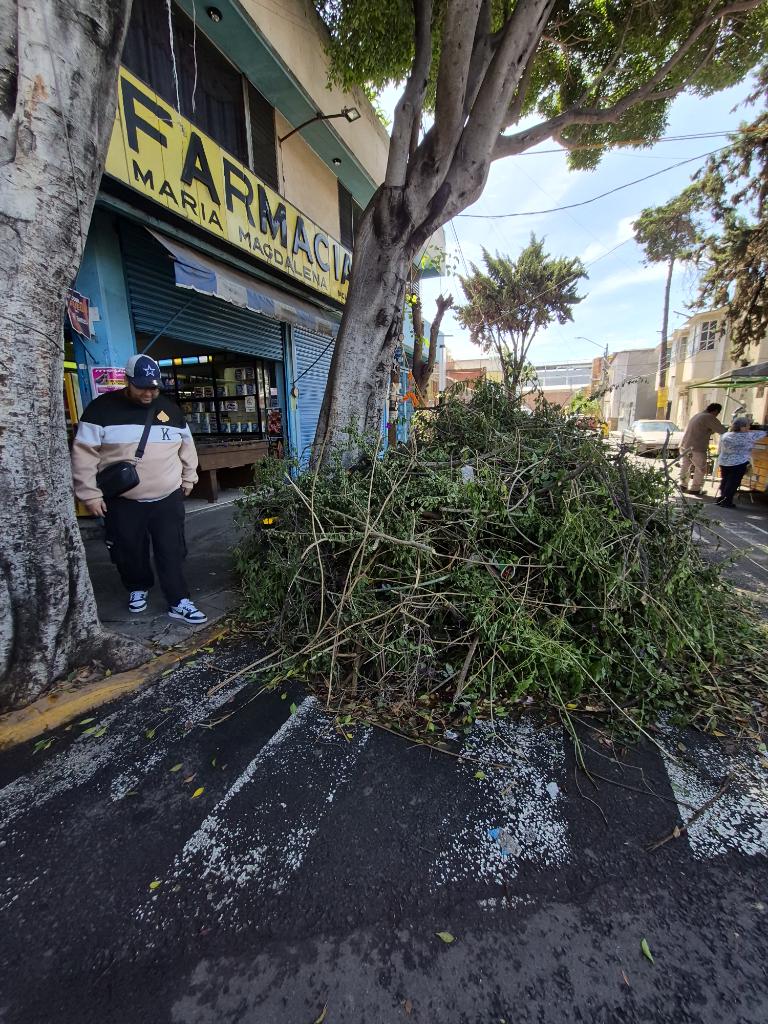 magdolinyta's tweet photo. @IztacalcoAl hace unas semanas vinieron a cortar los árboles de la calle chicle col granjas mexico... y es fecha que aún no recolectan los restos, impidiendo el paso a peatones y acumulando basura. Pueden mandar a alguien @LourdesPaz24 #manitadegato https://t.co/OeIgnSFGEU