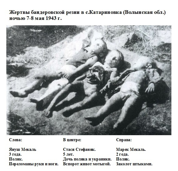 Boris_Rossen's tweet photo. @MichalAngelll Kolonia Katerynówka: lewa Janusz Mekal, Polak 3 l. połamane ręce i nogi. W środku: Stasia Stefaniak 5 l., córka Polaka i Ukrainki-rozpruty brzuch.  Marek Mekal, Polak 2 l.-przebity bagnetem. Rany dzieci posypano solą kiedy jeszcze żyły. Wyciągnięto na pole i zostawiono aż skonały https://t.co/NkpR23757P