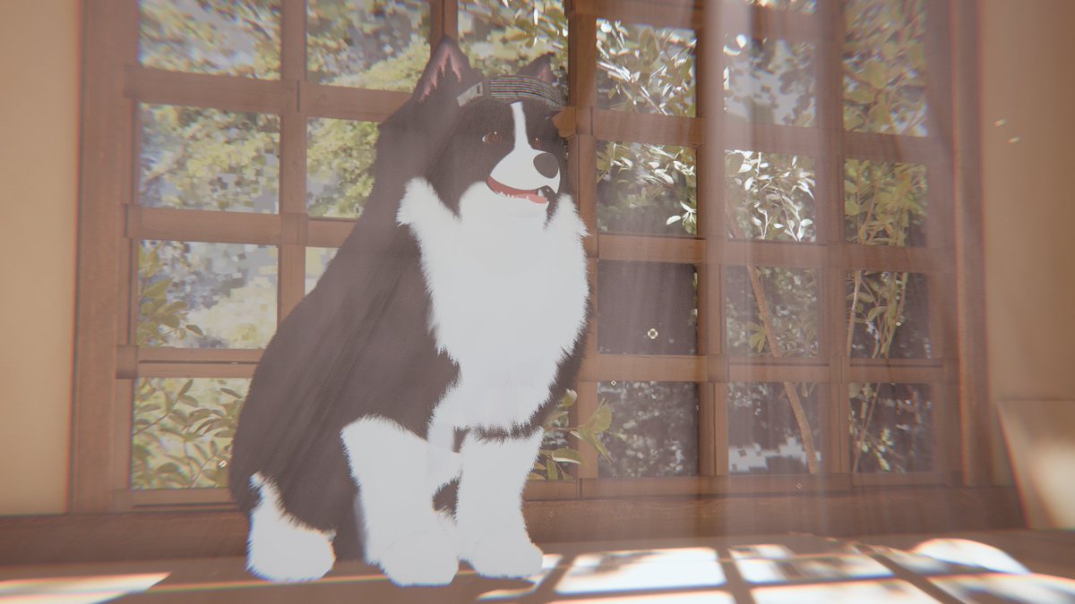 Valsa_2go's tweet photo. おはわんこ https://t.co/hzGZk85AXu