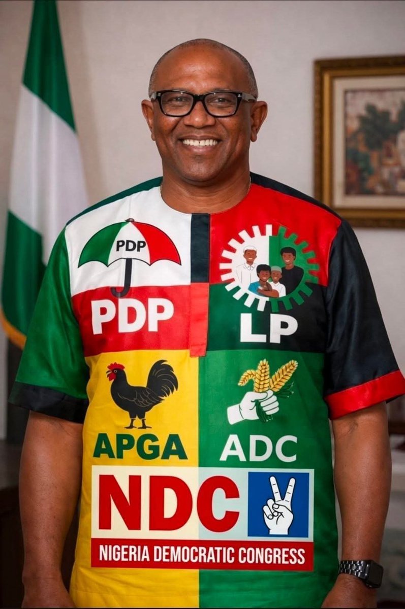 OsosaChris's tweet photo. What has Peter Obi done in his political journey or said in solution provision to be considered the most preferred Presidential candidate for 2027? The call for Peter Obi's presidency is the most irresponsible thought line in our political history. https://t.co/GVrNfx4JZw