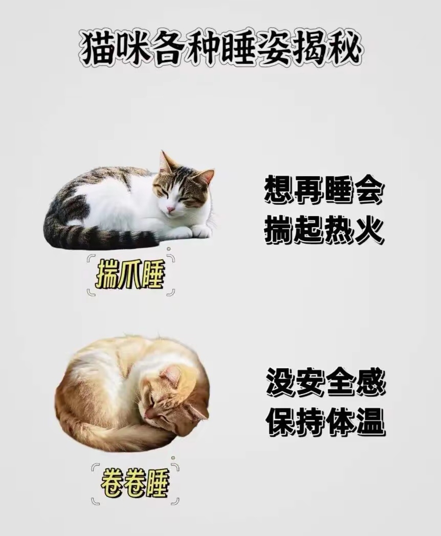 c karine tweet media