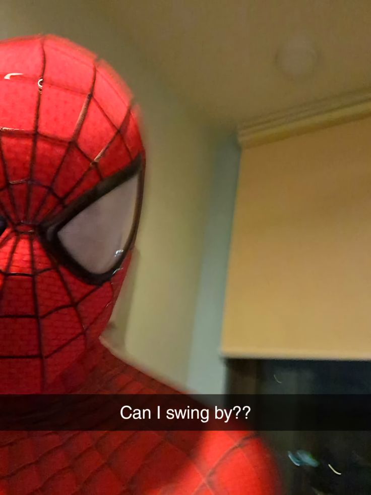 Bug_Boy77 tweet picture
