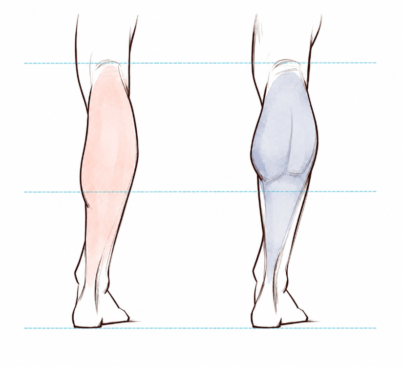 ChromaFlowx's tweet photo. So because she's a woman the calf muscle just doesn't exist? https://t.co/0AbXBMrfOP