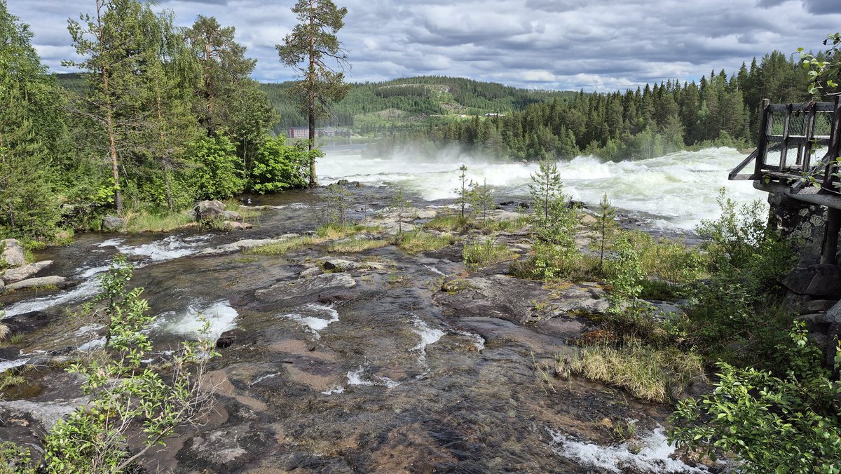 toadling_'s tweet photo. Went to Storforsen the other day, and had a nice Midsommar celebration yesterday with good food, alcohol and silly games 🐸 https://t.co/zAr3PSSKaJ