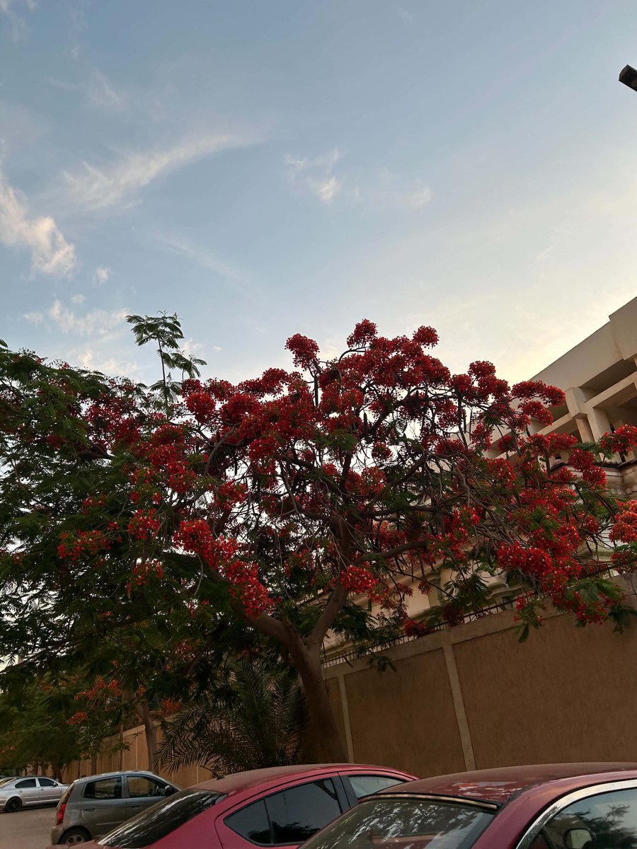 BasmalaMag45371's tweet photo. مش بحبه وبس عموما ❤️❤️❤️❤️ https://t.co/KFO7CQYoo7