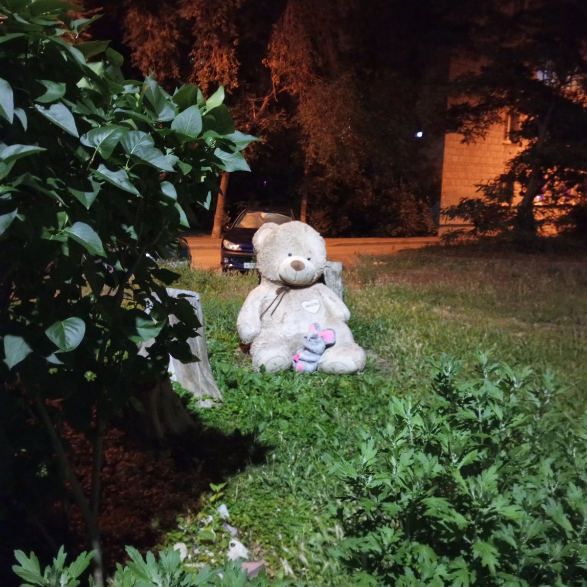 theNoFun's tweet photo. Night walk https://t.co/Same5lQiJ5