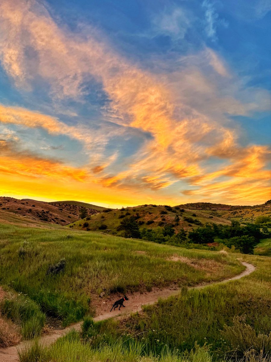 8ntmuch's tweet photo. This is my idea of a beautiful sky…

What’s yours?  👀 https://t.co/SW47YMzZjv