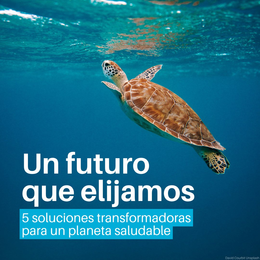 unep_espanol's tweet photo. Un mañana sostenible depende de las decisiones que tomemos hoy.

#GEO7, la evaluación más completa jamás realizada sobre el medio ambiente mundial, describe las cinco transformaciones necesarias para un planeta más saludable.

Descubre más aquí, en inglés: https://t.co/eV1nFxSZSI https://t.co/Hy8Xd02fNn