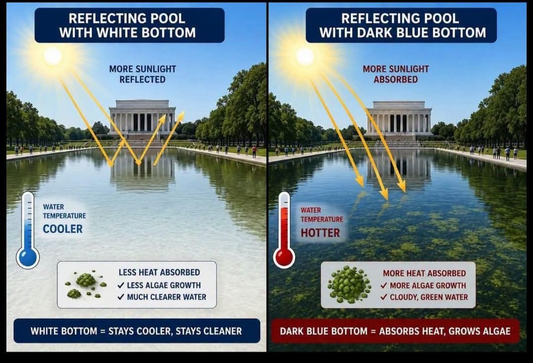 moneyfirstralph's tweet photo. #NationalGuard troops have now been positioned around the #ReflectingPool, preventing souvenir hunters from removing loose American Flag Blue sealant pieces, and protecting American algae from all enemies, foreign and domestic... #fucktrump #lockhimup #Felon47 #pedo #Rapist https://t.co/6P75fdkl6t