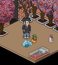 PropofolHabbo's tweet photo. @FranklyOrigins @HabboOrigins https://t.co/Prqw66gH18