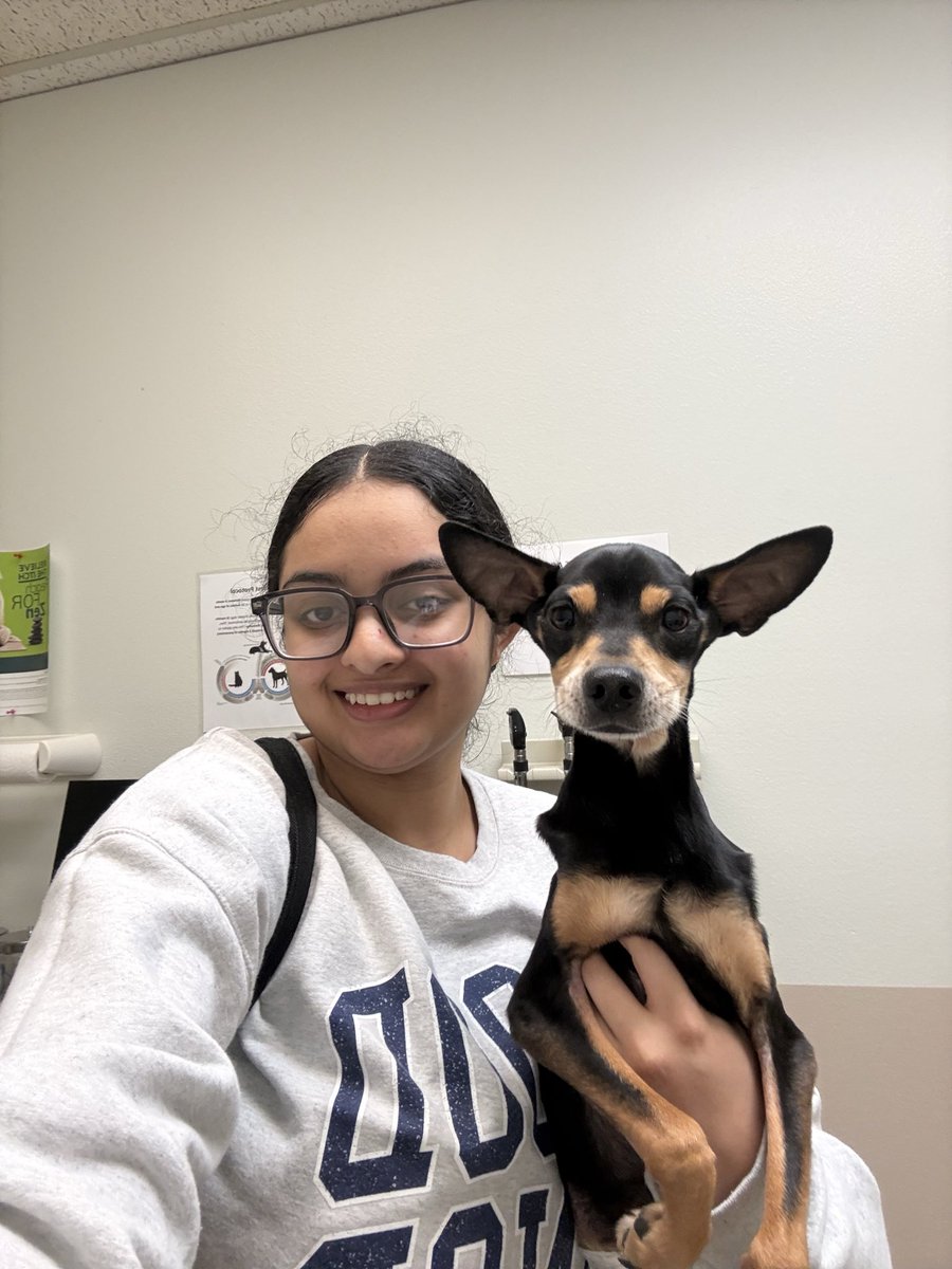 Aalilicious's tweet photo. After more than 2 years of searching for answers, Boog and I finally received the news I have been praying for. ❤️
The day after Thanksgiving of 2023, my dog, or rather my son, Boog unexpectedly stopped walking. After countless stressful and expensive veterinary visits (1) https://t.co/iNLu3B6cr3
