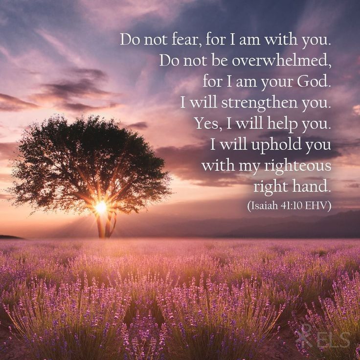 Catangels's tweet photo. Isaiah 41:10† https://t.co/TrFE9scVid
