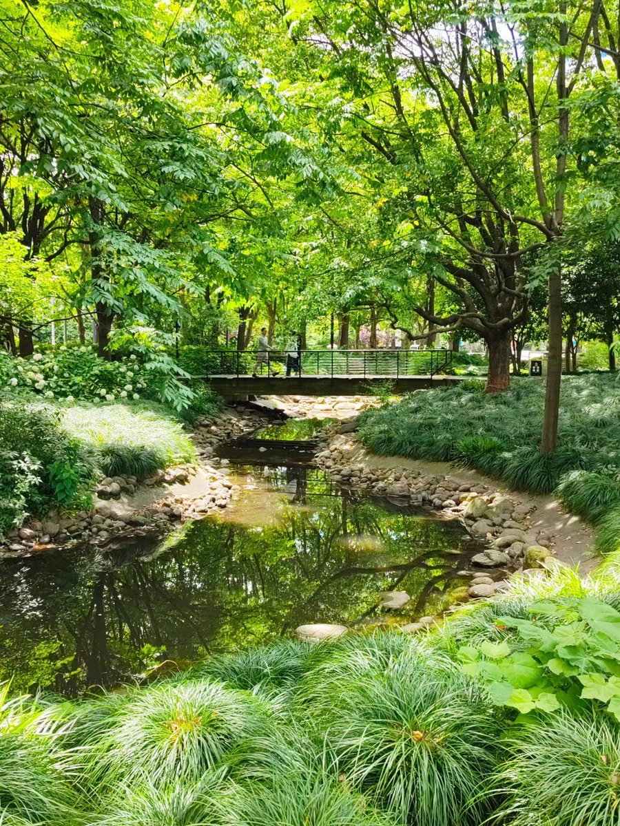 lolik63825734's tweet photo. New to photography Start with mastering natural light and your phone’s basic camera settings—no fancy gear needed to take great shots today! https://t.co/gkmkl0AoTJ