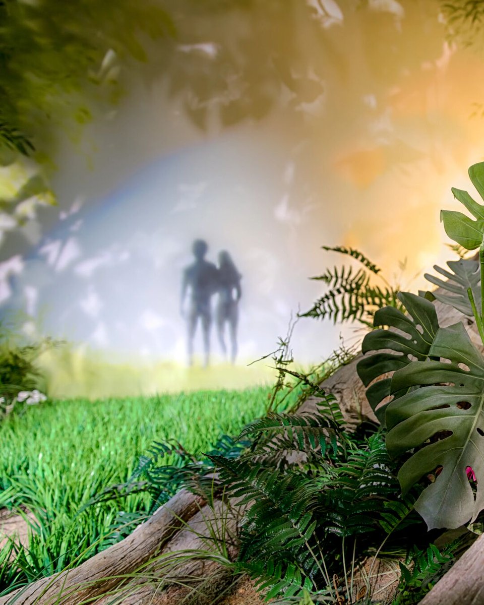 Creation Museum tweet media