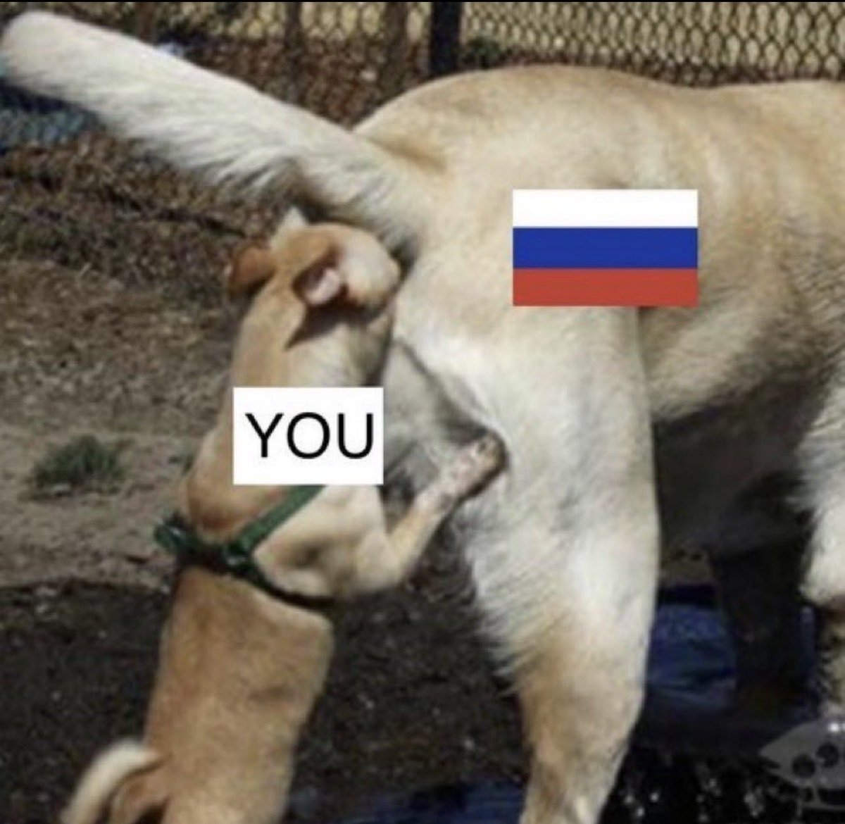 Jason571059488's tweet photo. @GabeZZOZZ @SPETRU42 Can you show me where Zelensky has been a coke addict? You are pretty sad, wondering why people are against Russia, and it's because of retards like you. Constant lies from the Kremlin and you swallow them whole!! Even when they have all been debunked. Typical arrogant yank https://t.co/Zt6OUkRc5J