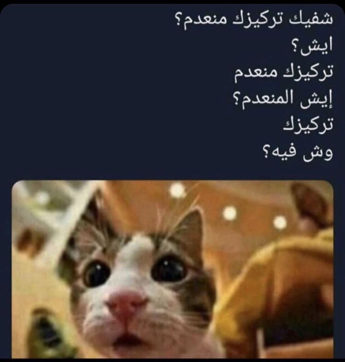 AzizObaidi4313's tweet photo. @amarh5590 @AhM5asnW @itsdrmaha https://t.co/6tBvGmJqwP