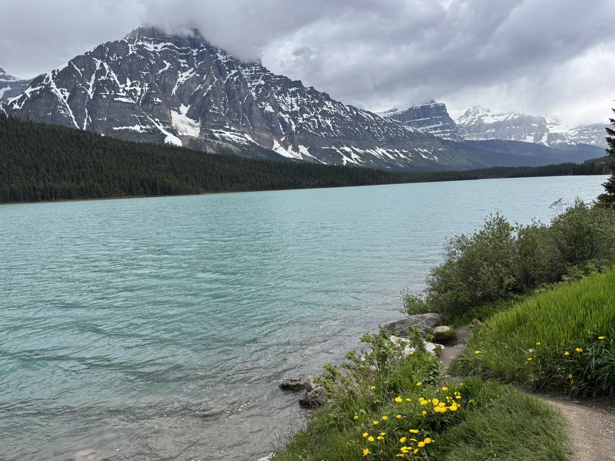 Maisan_AA's tweet photo. “The rockies will move you” 🏔️ https://t.co/qO8CBsrBHf