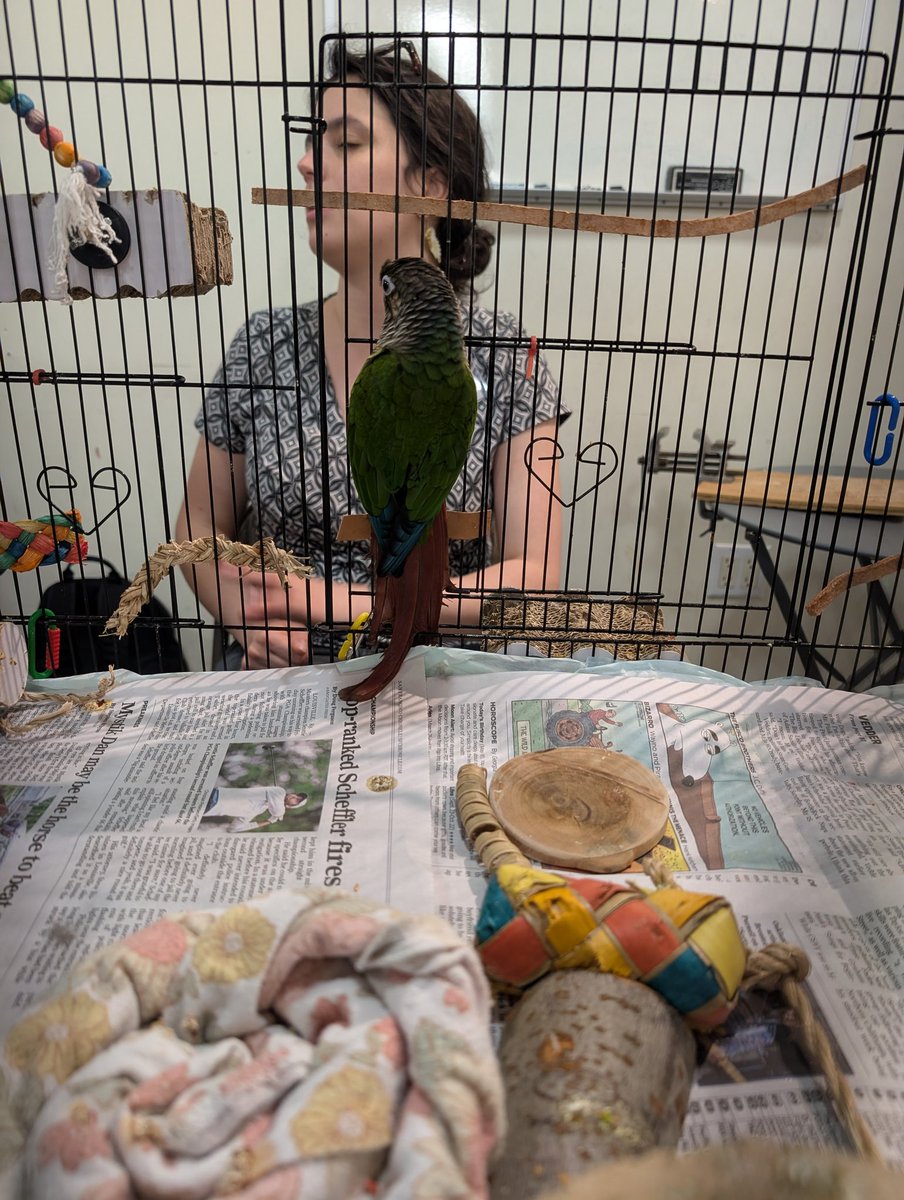 👩💻 Paige Bailey tweet media