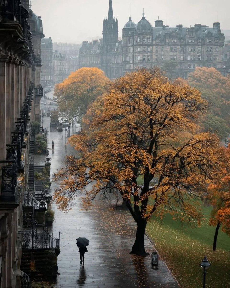 naturehealyou's tweet photo. Edinburgh, Scotland https://t.co/bnkmttDLJE