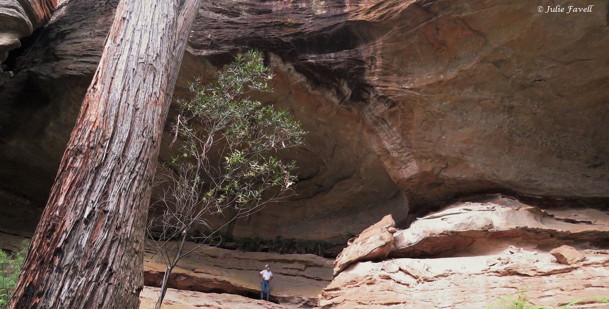 info_leg's tweet photo. Just one of the thousands of caves in the Gardens of Stone SCA.  National Park status long overdue. https://t.co/VVMdhfitI7