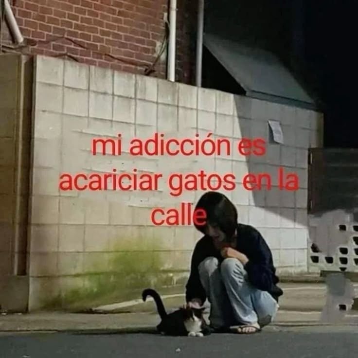 L1ttl3Sh_ttyBun's tweet photo. Una de mis adicciones https://t.co/jq9tHZTc9Q