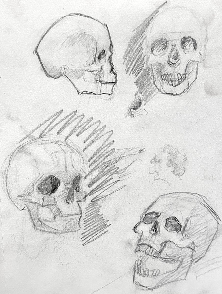 sethlikes's tweet photo. Study day five… the uhhh theeee yeah…

#artㅤㅤㅤㅤ #doodles #awordthatstartswithetheletterP https://t.co/sJgRwgI3oR