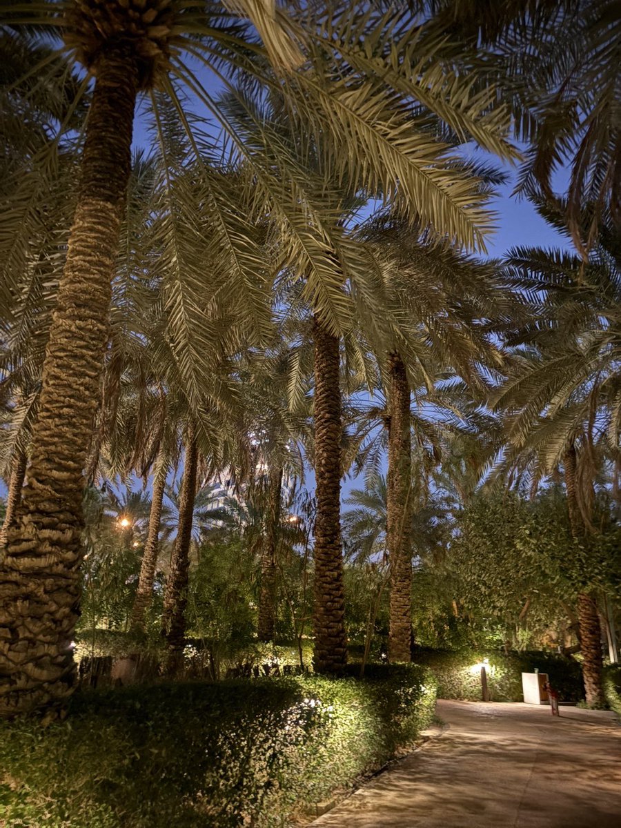 Zilx00's tweet photo. من لما التقينا صار عندنا وطن https://t.co/0CMGN454ST