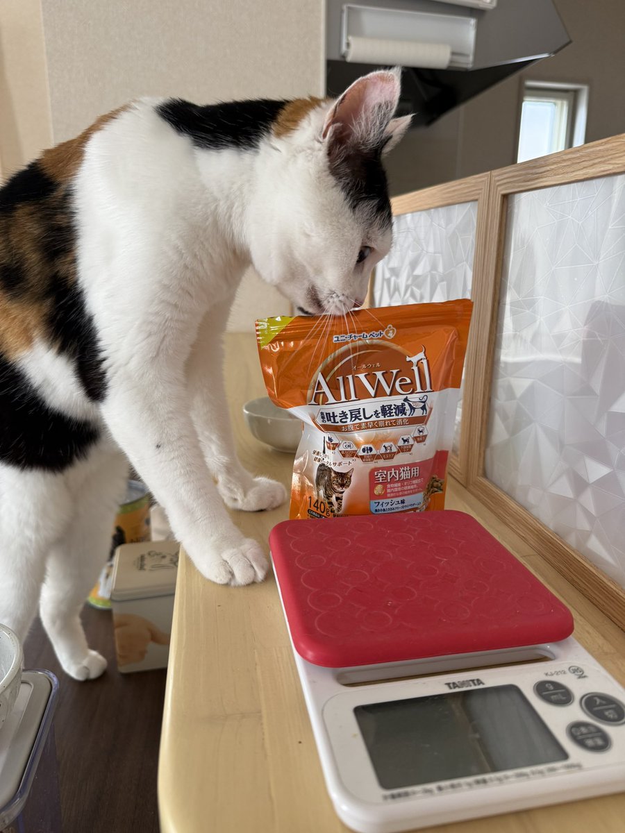 mitz_calico's tweet photo. 以前試したけど食いつきはあまり良くなかったこちら。事情がありまた試してみたらガッツリ食べるのどうしたw

袋見るだけでスリスリしてくるほどに😂

#猫 #ねこ #みけねこ #三毛猫 #calico 
#保護猫 https://t.co/0oYWqHVJmy