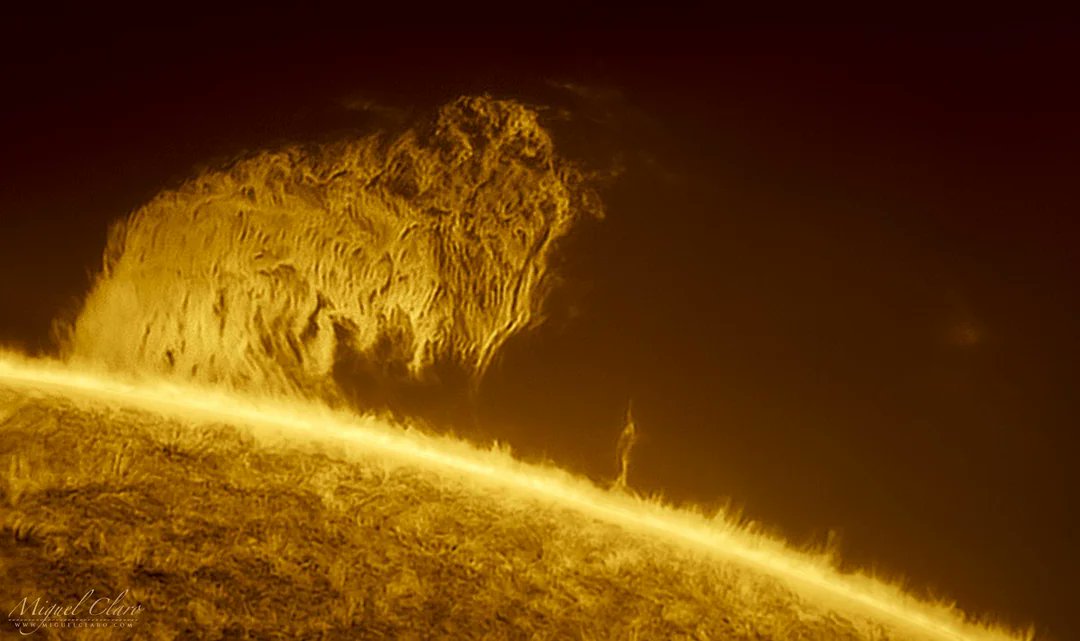 SciFiArchives's tweet photo. “The Mammoth” solar prominence captured by photographer Miguel Claro https://t.co/CihsibXQZA