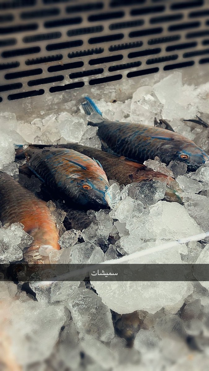 humoqq's tweet photo. عشوائيات اليوم https://t.co/d3s7HP9Mkx
