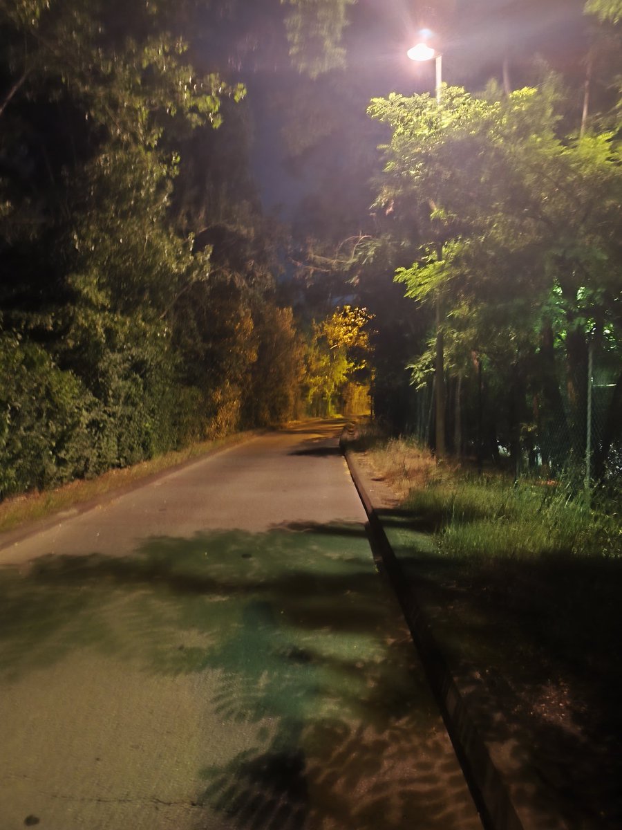 sergiymushchen3's tweet photo. 🌛 🇲🇫 🏃 🧘 🥱 https://t.co/WPHqcMuK7w