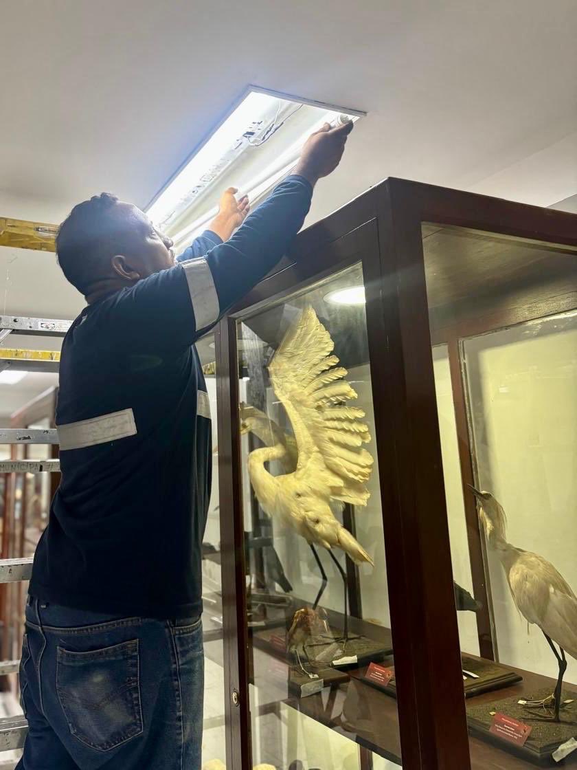 DirAdGYE's tweet photo. 💡🏛️ La iluminación de un museo no solo permite apreciar una exposición, también ayuda a preservar y valorar la historia de cada una de sus salas. 

Como parte de las inspecciones que realiza la Dirección General Administrativa en los bienes municipales, identificamos luminarias que habían cumplido su vida útil en el Museo Municipal y realizamos su reemplazo.

Estudiantes, investigadores, turistas y familias visitan diariamente este emblemático sitio cultural. Por eso, cuidamos cada detalle para que su experiencia siga siendo la mejor.

#AsíSeHaceGuayaquil #CiudadDeTodos