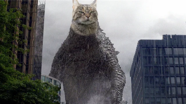 ace67_x's tweet photo. Holy shit, I think I might've found the next Grumpy Cat.

This cat named Miso is blowing up on Reddit. The post pulled in over 15k upvotes in just a few hours, and the comments are full of people turning him into memes

The trenches have been begging for an animal runner. https://t.co/DVre9tsDr1