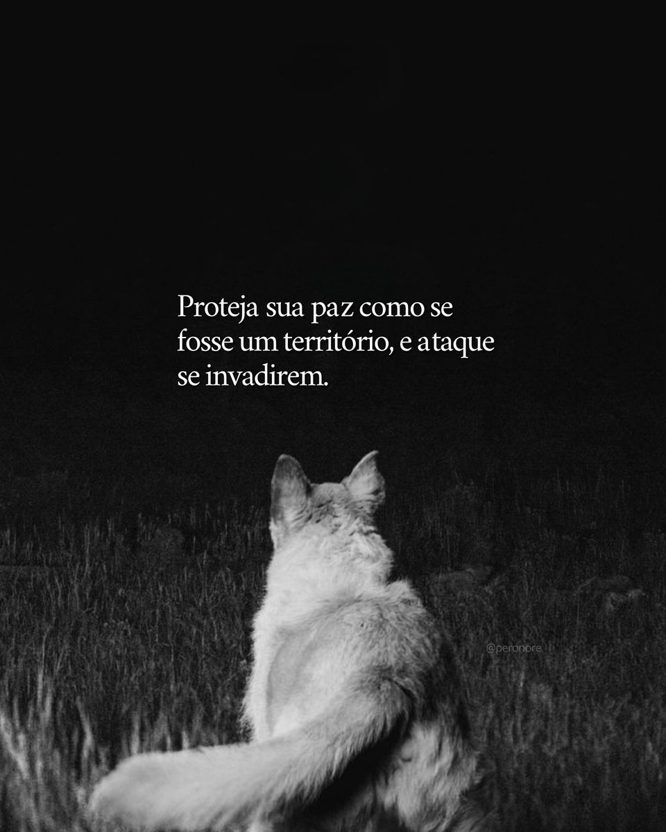 PerOnore's tweet photo. https://t.co/az36duTjEu