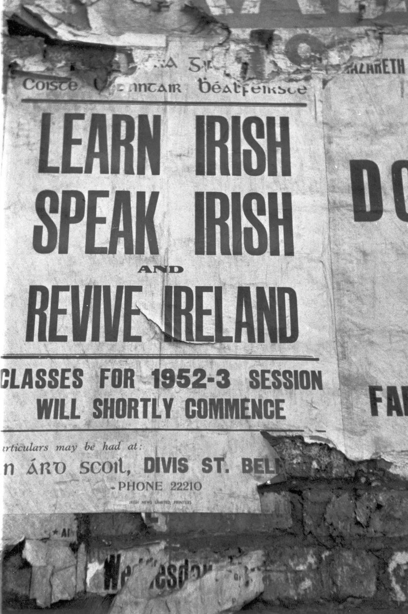 Irish Unity 🇮🇪🇵🇸 tweet media