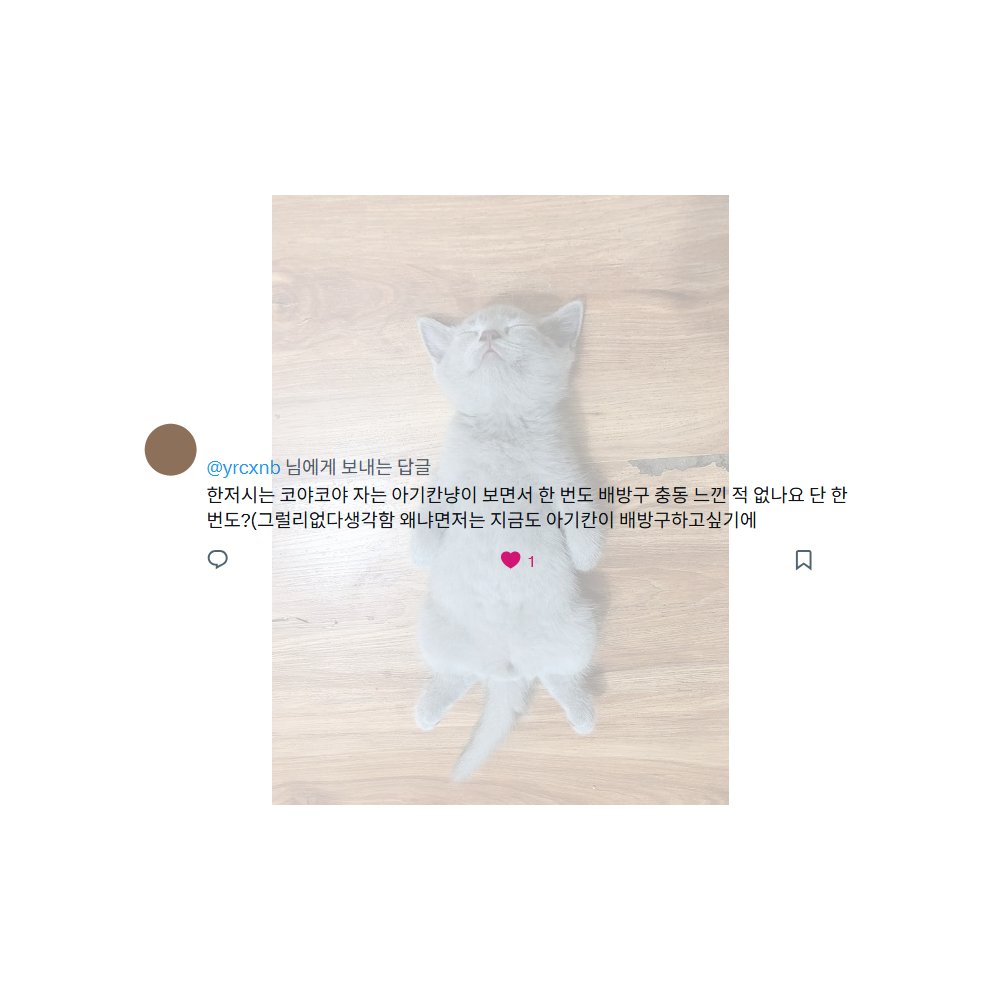🥩 tweet media