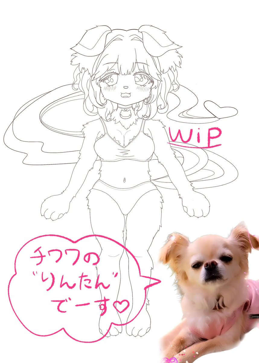 Aya_arietta's tweet photo. おはようございます😊☀️
新しいオリキャラ、チワワのりんたん🐶
キャラデザ考え中です〜🥰
母から「実家のわんこのキャラを作って」と言われて作ってみました〜🐬
#イラスト
#oc https://t.co/LUAEePvzYr