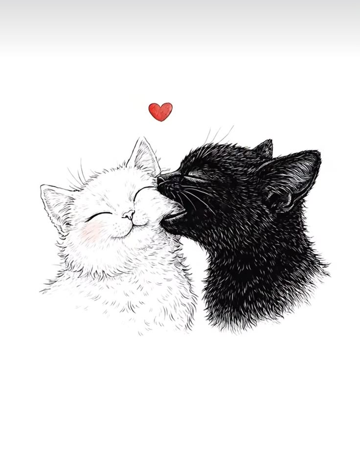 Solithra's tweet photo. https://t.co/LGM1LwkUvO