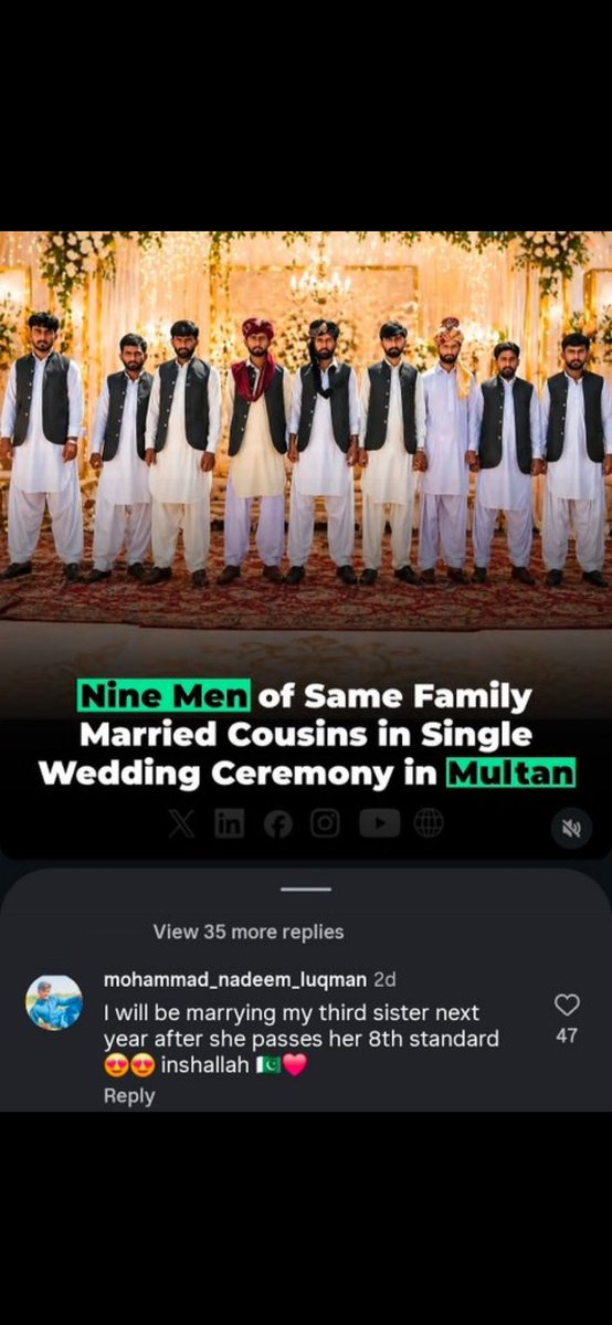 Hotara tweet media