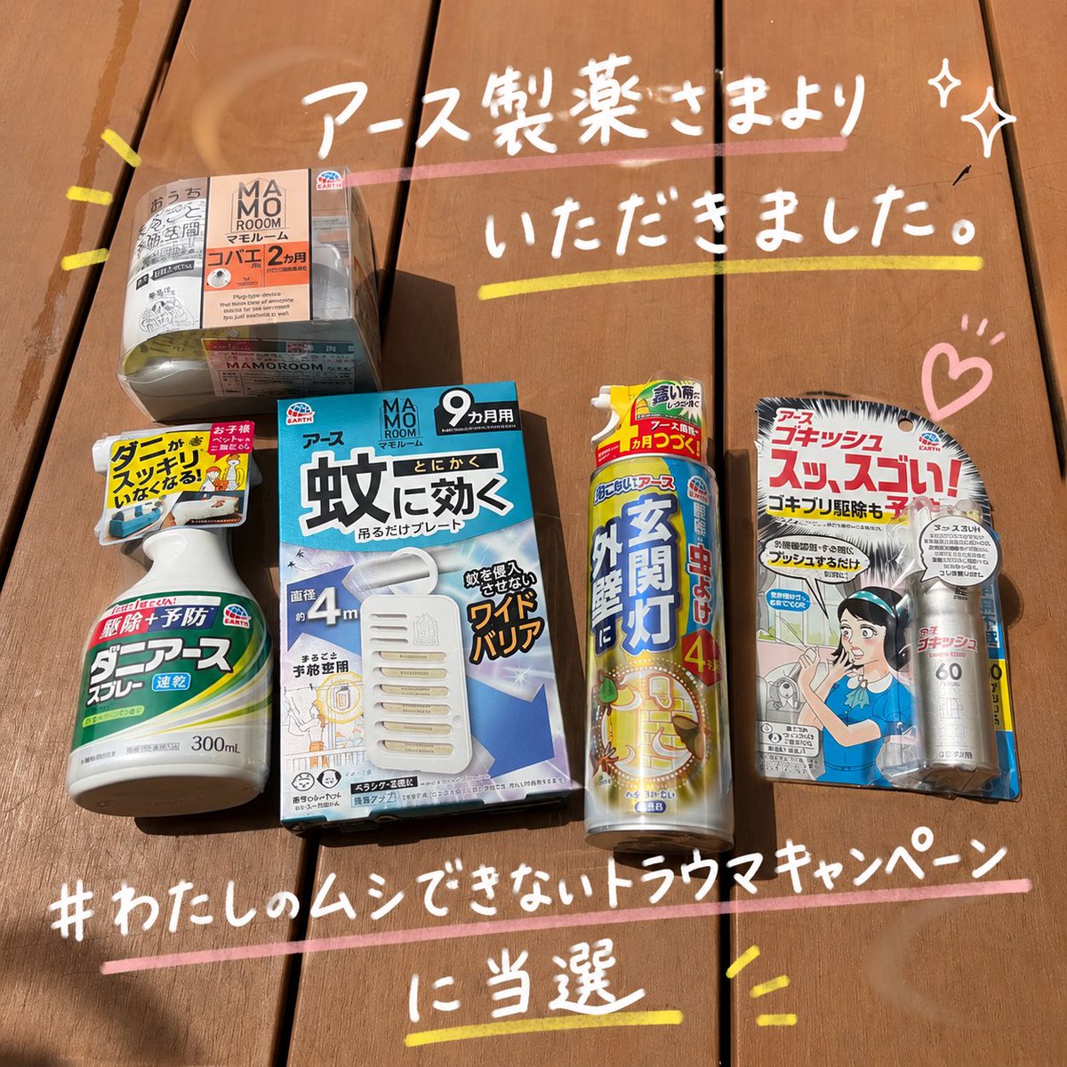 u*0様 3454☘️限定1株☘️未株分け☘️花付き☘️⭐️bocconei ⭐ もっちー🐰🌷 (@mochmoch181) / Posts / X