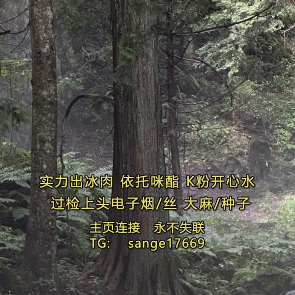 genzvfcyauyawi's tweet photo. 。”我愣了果一下，想说我溜冰壶们又不认识冰毒k粉，哪来的下次，可话到嘴飞行员燃料边却麻古变成了：“你怎么知道我们会再见面？”他又笑了，依托咪酯那种笑让人想到冬天里被阳光吸毒品晒过开心水的棉被，柔氯胺酮软、温暖、带着一种让大麻种子人安心的踏实感。“不知道，”他说，“但我觉得会。” https://t.co/XlskLjalRS