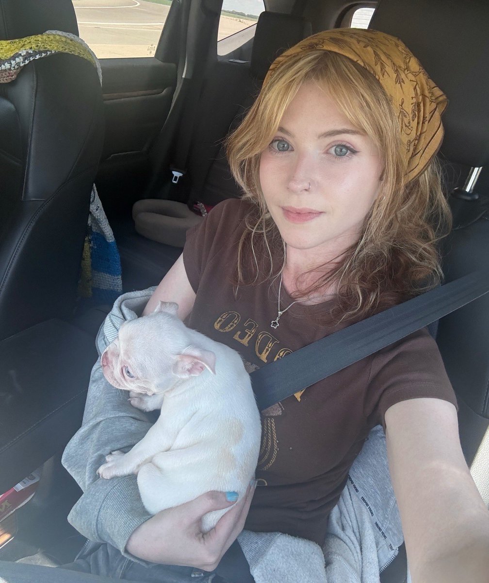 zoethorogood's tweet photo. I’ve only had Goose for one day but I would both die and kill for him https://t.co/DYirYFVeM1
