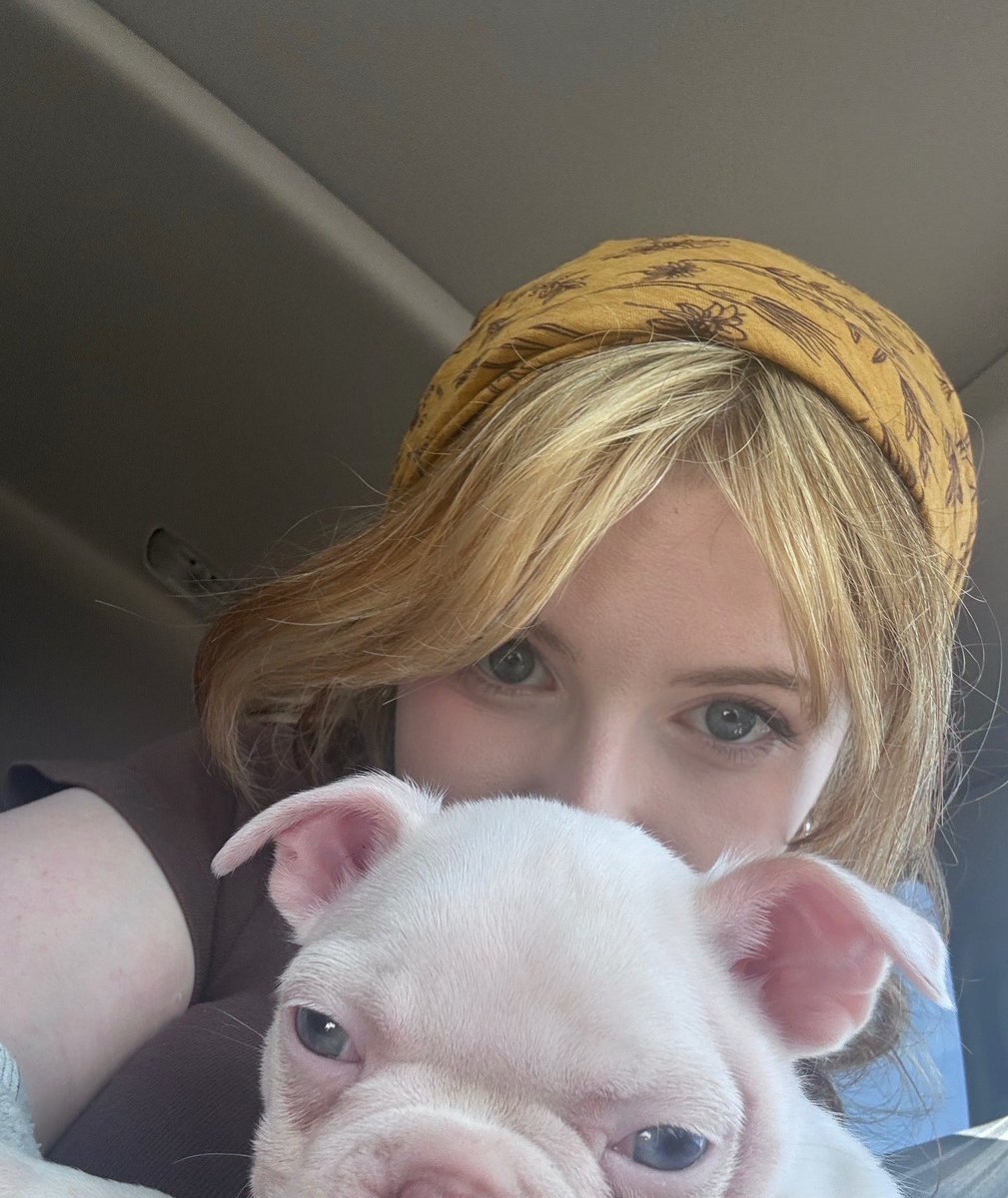 zoethorogood's tweet photo. I’ve only had Goose for one day but I would both die and kill for him https://t.co/DYirYFVeM1