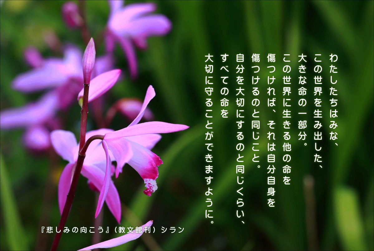 hiroshisj's tweet photo. わたしたちはみな、
この世界を生み出した、
大きな命の一部分。
この世界に生きる他の命を
傷つければ、それは自分自身を
傷つけるのと同じこと。
自分を大切にするのと同じくらい、
すべての命を
大切に守ることができますように。

『悲しみの向こう～希望の扉を開く言葉366』（教文館刊）
◆Amazon https://t.co/1qCd3QOlht
◆教文館 https://t.co/2AxPlGrsqp