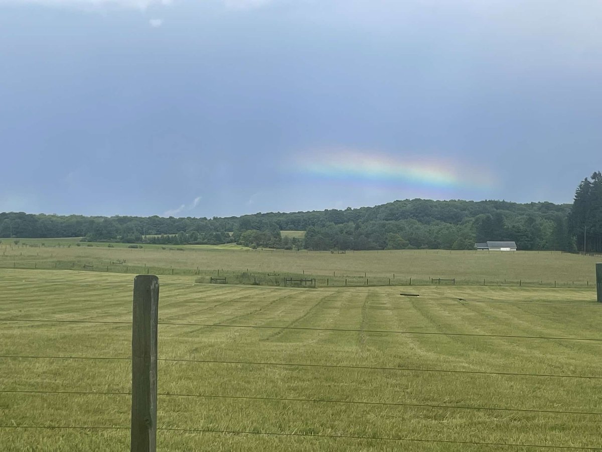 PAWeatherPlus's tweet photo. Wow! Have you ever seen a rainbow this wide before on the horizon? Passing storms helped to cast this rainbow in the distance in Indiana County. Thank you for sharing, @Lori A Sherry (FB)! What does the sky look like in your area today? #PAwx #Pennsylvania #Rainbow https://t.co/qh9LWix4bM
