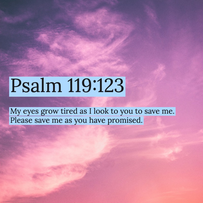 DivineProverbs's tweet photo. https://t.co/WyutV6FH00